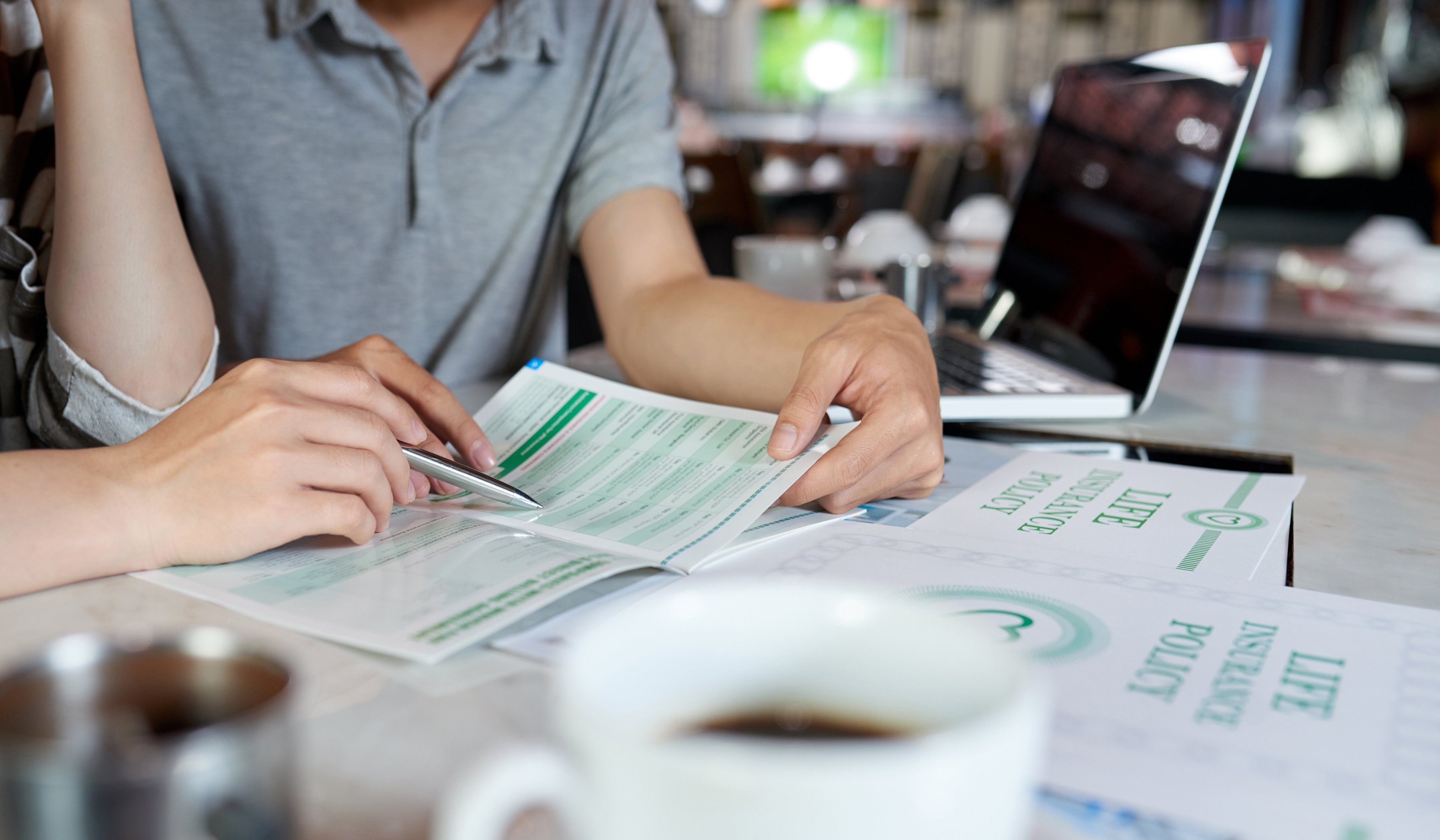 How Private Insurance Complements Government Initiatives